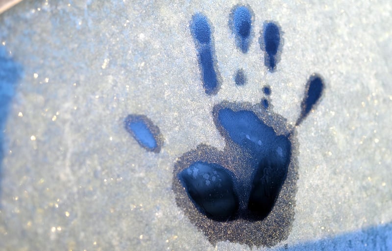 Handprint Flower Garden